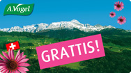 Vinnare Schweiz-resa Vinnare Schweiz-resa