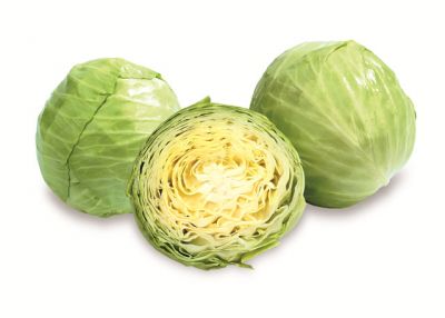 Biotta Surkål surkål