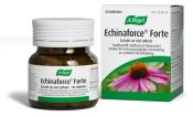 Echinaforce Forte