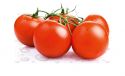 Biotta Tomat tomat