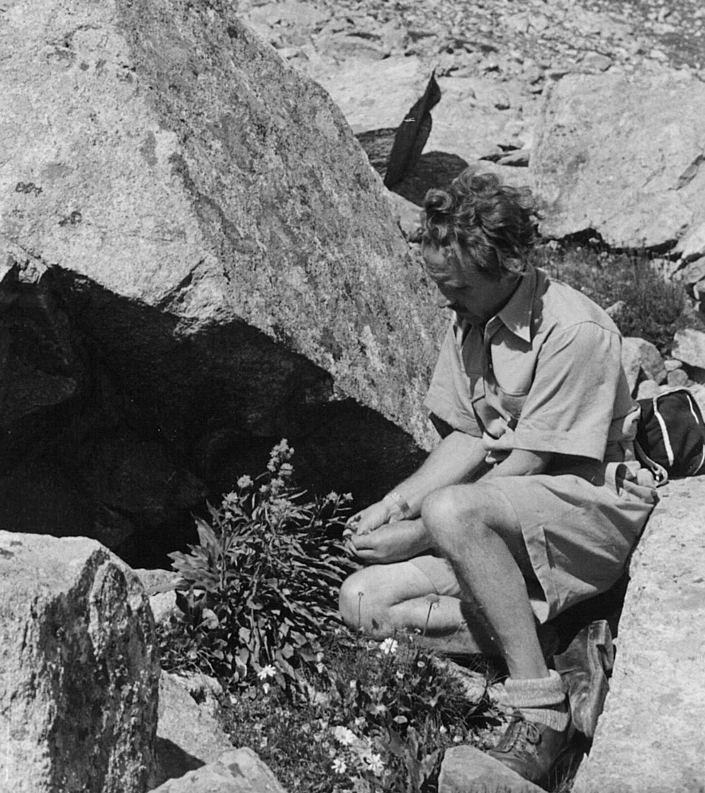 Alfred Vogel samlar växter i de schweiziska bergen.