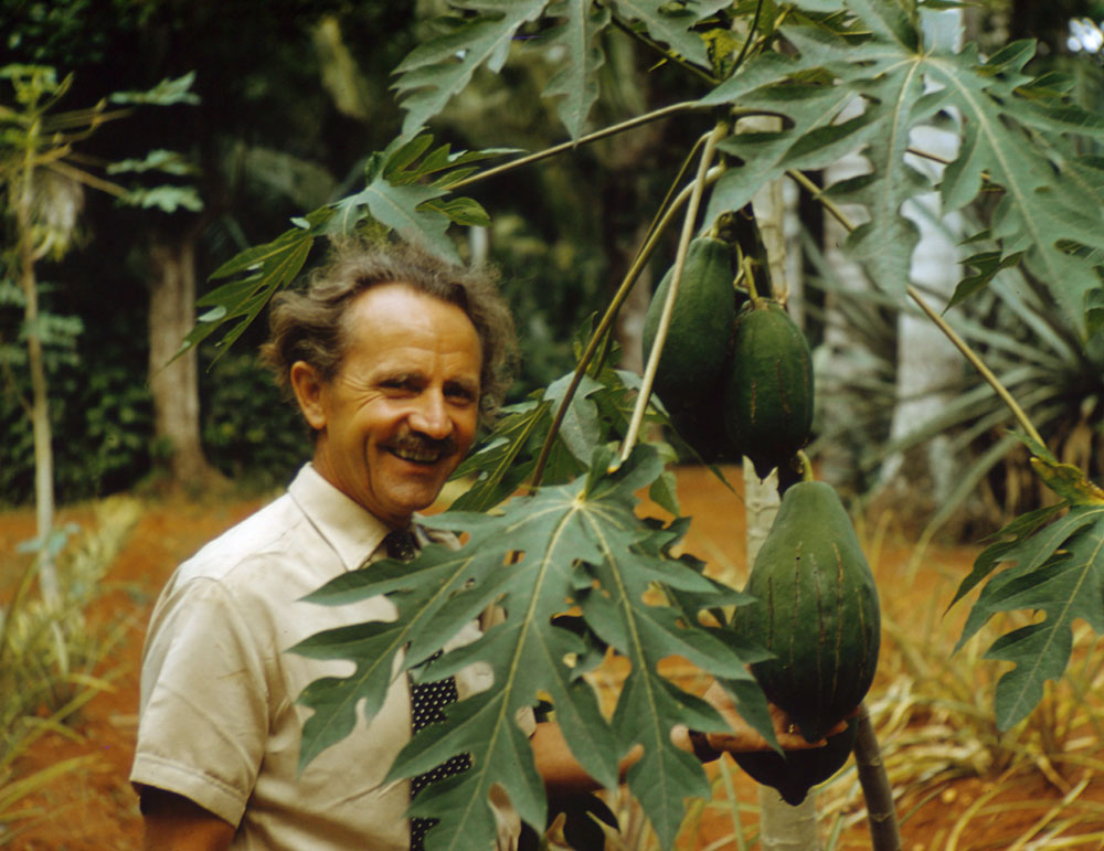 Alfred Vogel utforskar olika länder och växter (här ett papayaträd).