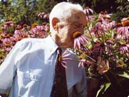 Alfred Vogel luktar på Echinacea purpurea Alfred Vogel luktar på Echinacea purpurea