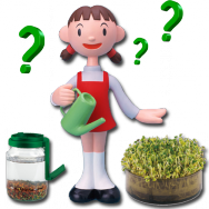 Groddburk eller groddlåda? Groddburk eller groddlåda?