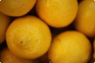 Citron Citron