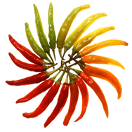 Chili Chili