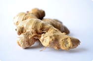 Ingefära - Zingiber officinale Ingefära - Zingiber officinale