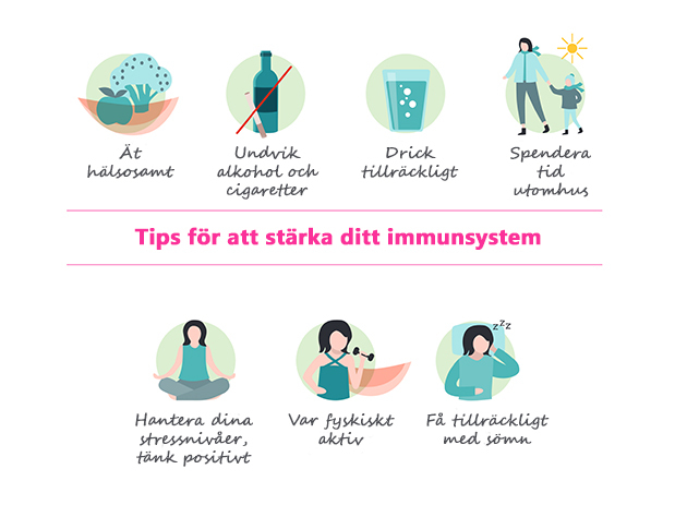 Infografik - immunförsvar