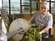 Tillverkning maceration
