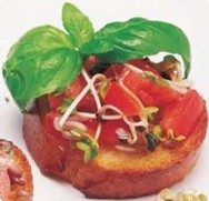 Bruschetta Bruschetta