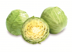 Biotta surkål