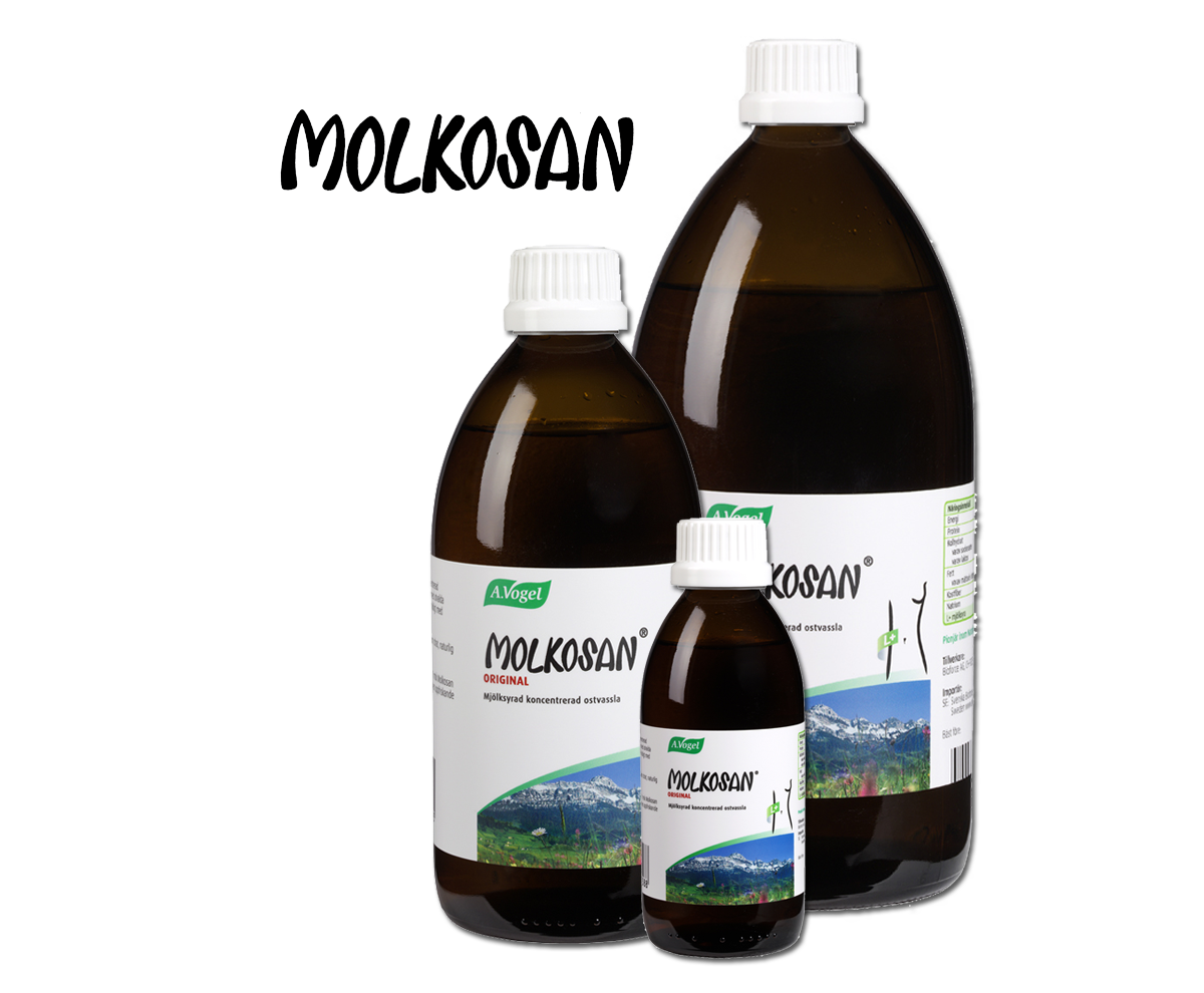 Molkosan Original