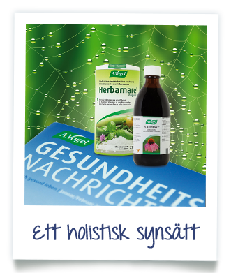 Ett holistisk synsätt