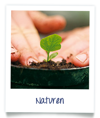Naturen